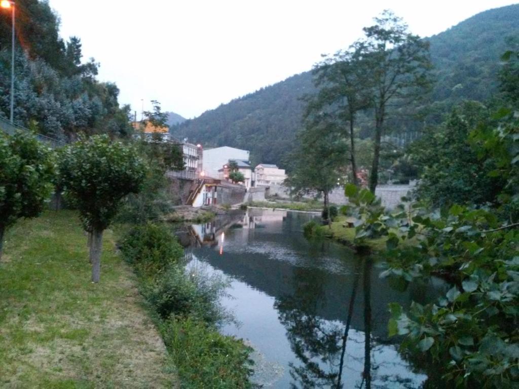 Navia *