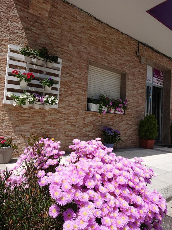 Guest house Navia *